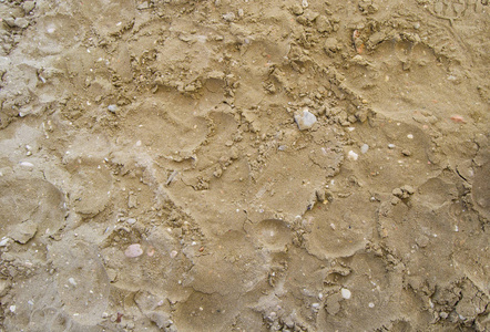 海滩上的小石头和沙子, 用作背景或纹理。对于图形概念