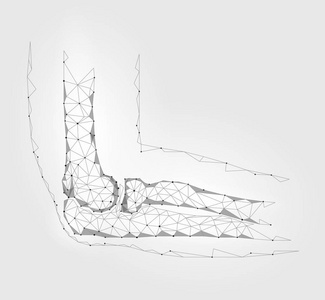 人肘关节。低聚 geomentic 未来医学概念技术。创新医学科学。臂尺健康多边形连接矢量图示