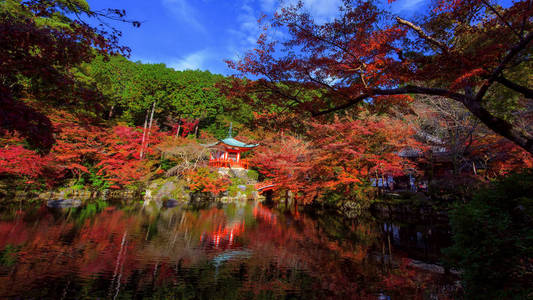 Daigoji 神社在秋季, 京都