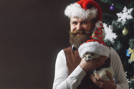 圣诞老人与宠物在树