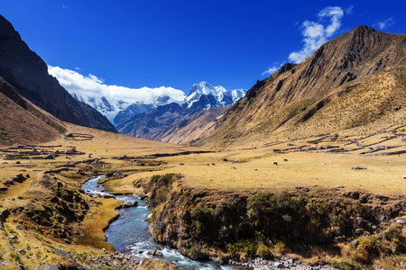 美丽的山风景