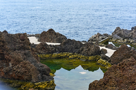 野生海浪