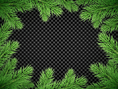 圣诞新年贺卡背景模板冷杉树分支框架