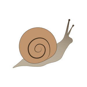 孤立的蜗牛壳图片-孤立的蜗牛壳素材-孤立的蜗牛壳插画-摄图新视界