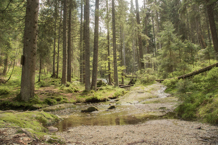 美丽的风景场面在小 Arbersee 在巴伐利亚