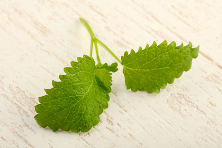新鲜的绿色梅丽莎叶在木制背景上照片