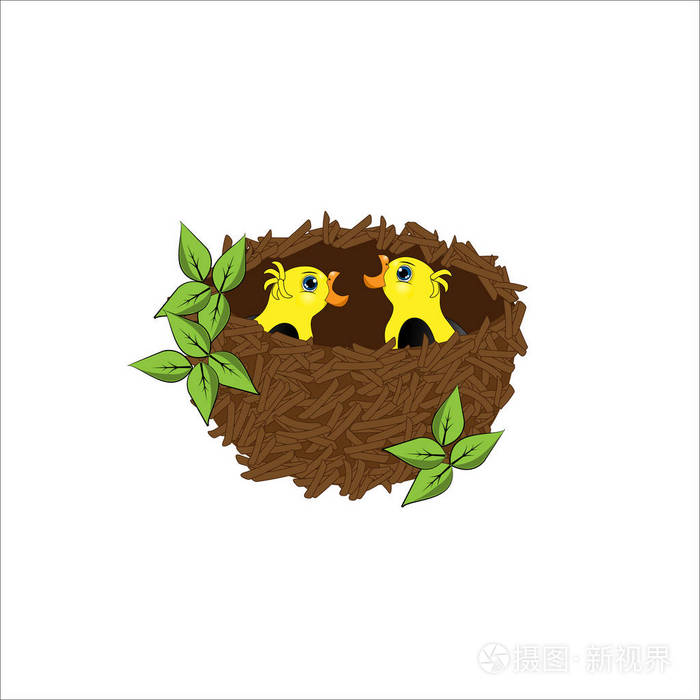 两个卡通小鸡在巢在白色背景