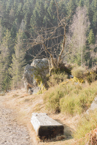 美丽的风景场面在小 Arbersee 在巴伐利亚