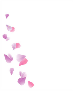 花瓣的设计。花背景。花瓣玫瑰花朵。紫色的紫樱飞花瓣白色背景上分离。矢量 Eps 10 cmyk
