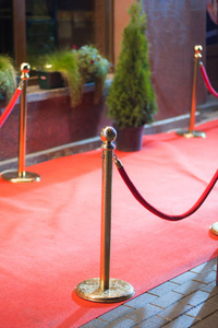 红色地毯传统上是用来标记国家元首在礼仪和正式场合采取的路线