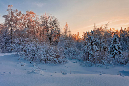 美丽的冬天日落
