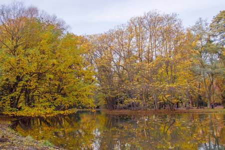 在湖的秋天时间反射的树