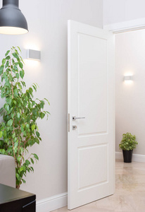 室内装饰与盆栽植物的现代公寓图片