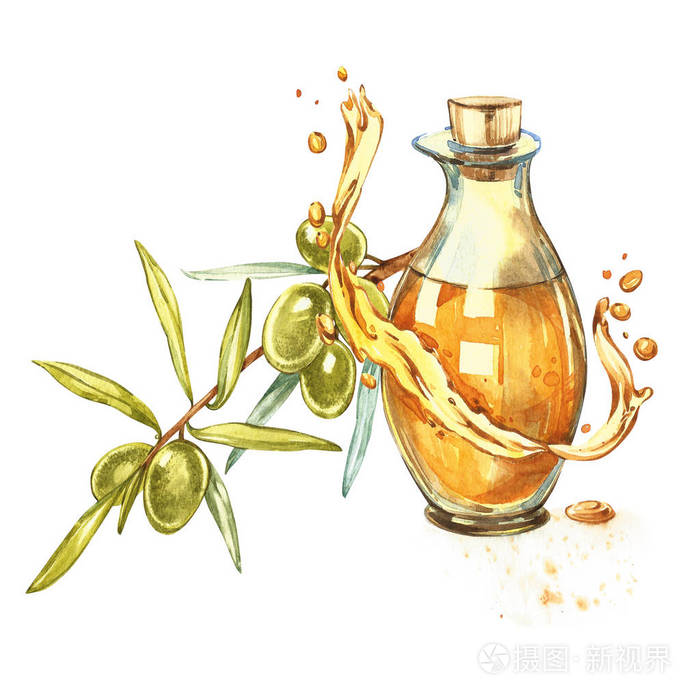 橄榄油滴和溅.白色背景下的水彩和植物插图