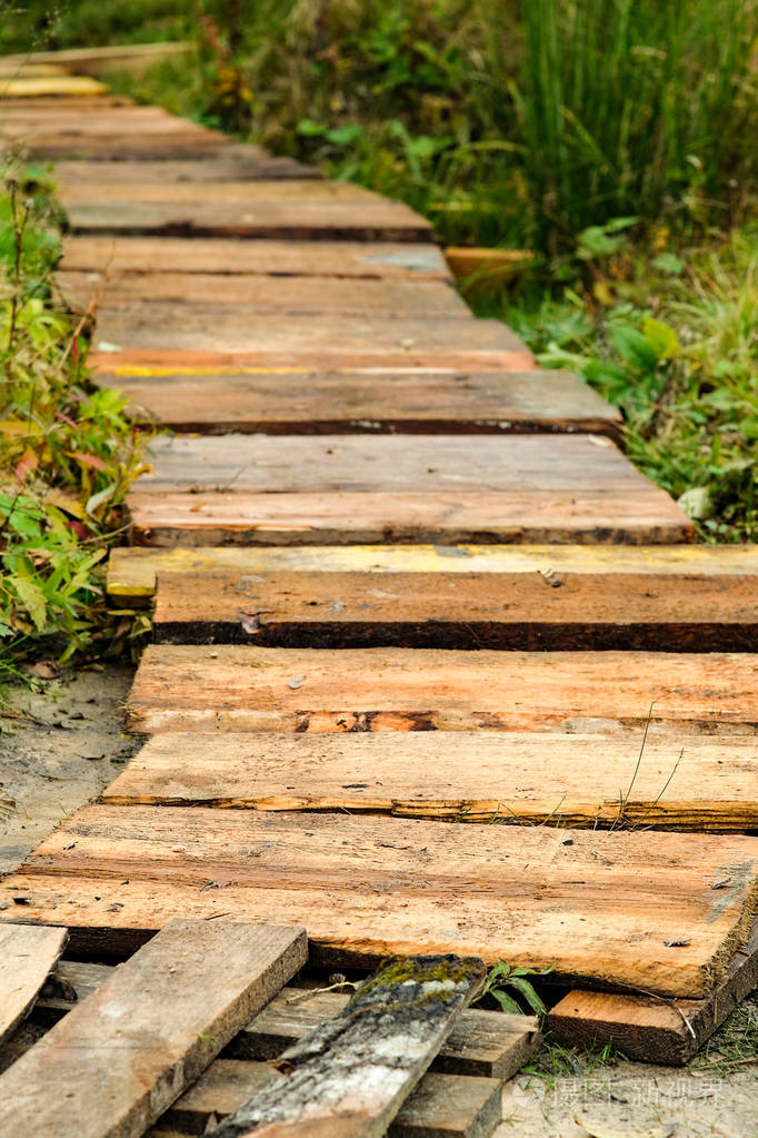 草地上的木板小路