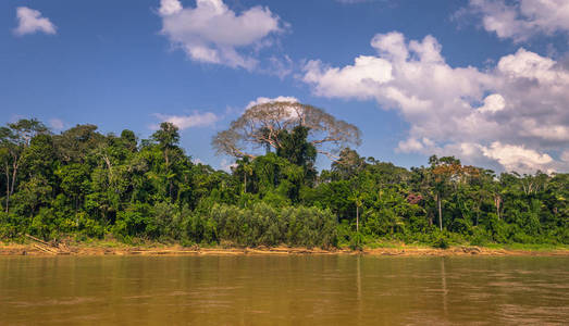 秘鲁马努国家公园2017年8月06日秘鲁马努国家公园亚马逊雨林景观