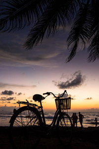 日落时靠近棕榈树和海洋的海滩上的自行车