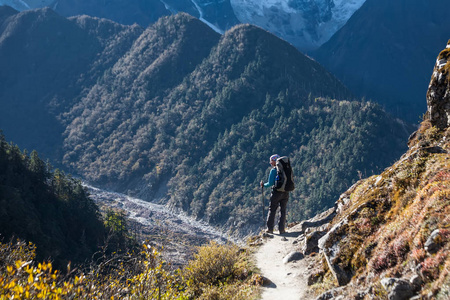 在较低的喜马拉雅山的徒步旅行