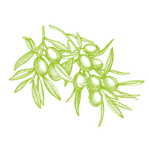 手绘地图片-手绘地素材-手绘地插画-摄图新视界