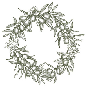 一枝成熟的橄榄, 多汁地浇上油.农贸市场菜单设计.有机食品海报.