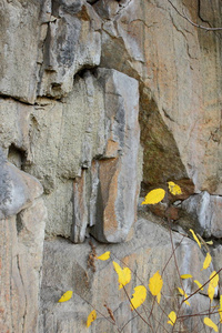花岗岩背景植物石材抽象石质地环境问题构造板块断裂地震后果花岗岩岩石裂纹花岗岩质地