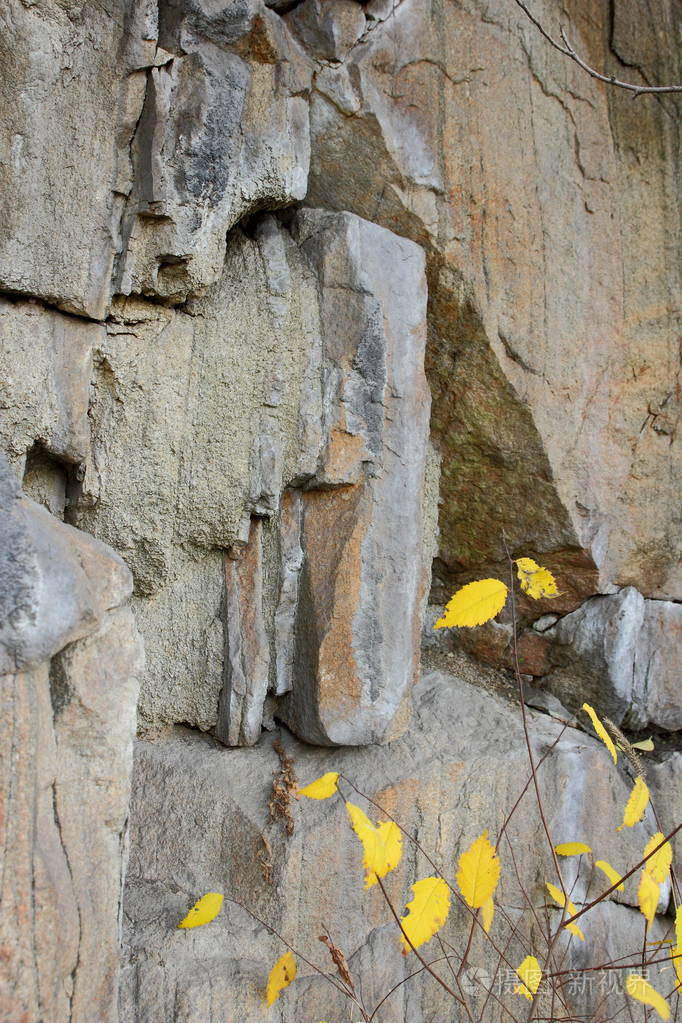 花岗岩背景植物石材抽象石质地环境问题构造板块断裂地震后果花岗岩
