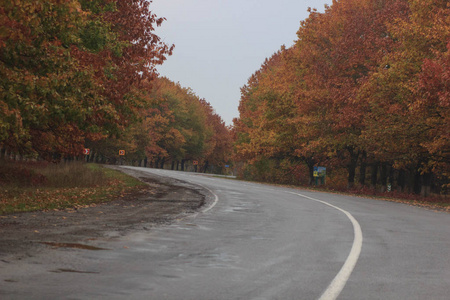 汽车在秋季景观公路路面行走