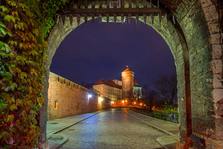 夜间在克拉科夫皇家瓦维尔城堡