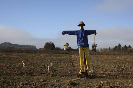 手臂稻草人稻草人在田野上的棉签巴登,德国,欧洲照片