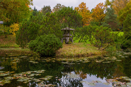 植物园, 秋天公园