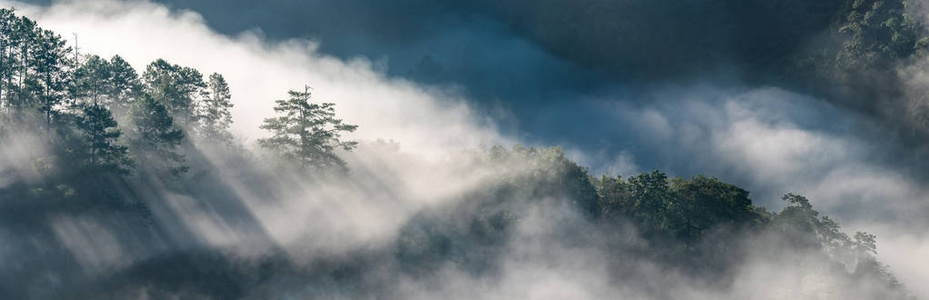 令人惊异的雾通过移动来自然山日出在泰国山区的全景视图