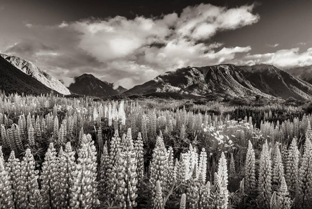 s Pass, black and white with a sepia tint, South Island, New Zea