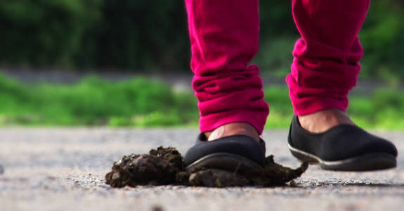年轻女子腿和脚踩牛粪照片