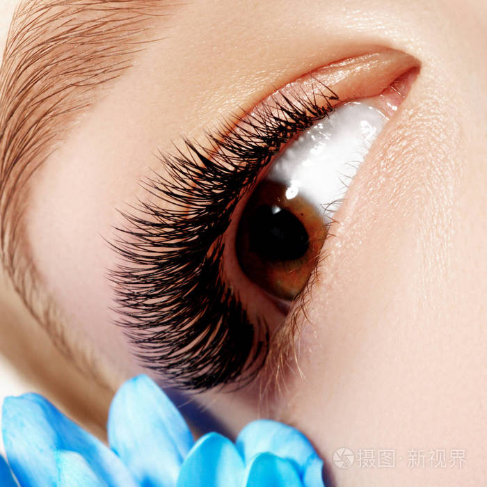 完美的造型化妆和长长的睫毛.化妆品和化妆.特写宏拍摄的时尚眼睛面貌