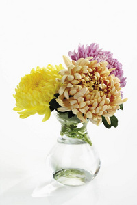 花瓶里有芳香的菊花图片