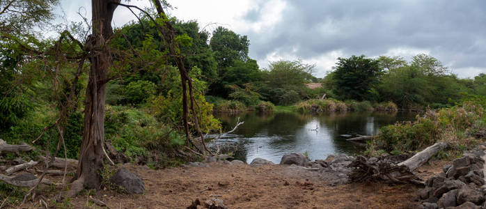 肯尼亚风景中的湖泊, Mzima 泉
