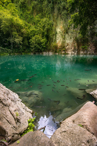 泰国北部的翡翠池