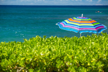 热带阳光海滩五颜六色的雨伞图片
