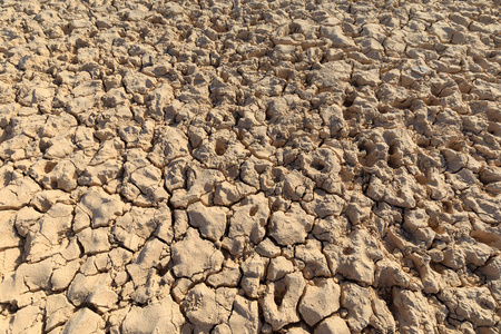 以色列沙漠的干旱地带
