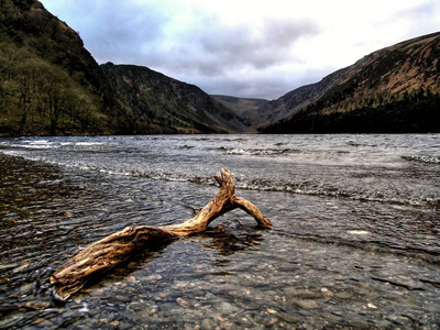 威克洛山湖与木材在前景作为一个典型的爱尔兰风景