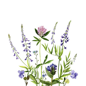 蓬勃发展的杂草图片-蓬勃发展的杂草素材-蓬勃发展的杂草插画-摄图新