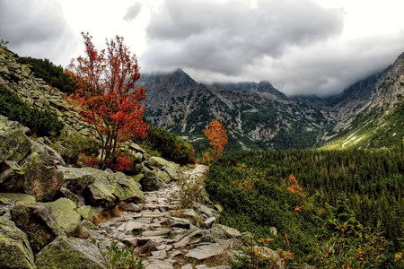 高 Tatras 山脉 Vysok 塔特拉, 塔特拉 Wysokie, MagasTtra, 是一个山脉沿斯洛伐克边界 P