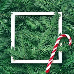具有白色纸框架的松木枝的创作背景。新年和圣诞快乐的概念