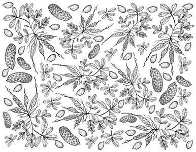 花生树图片-花生树素材-花生树插画-摄图新视界