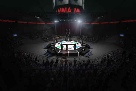 大 mma 战斗竞技场与许多风扇3d 渲染