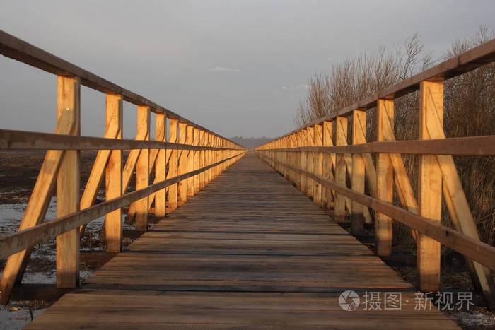 费德西湖木板路，早晨的心情，费德西湖地区，芦苇，比贝拉赫区，上斯瓦比亚，巴登符腾堡，德国，欧洲