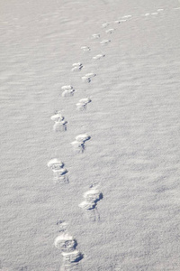 冬天雪地面