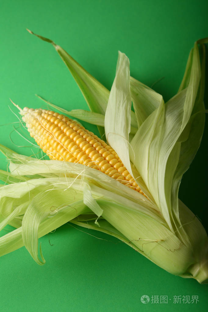 绿色背景下的一只玉米棒子照片-正版商用图片102yz1-摄图新视界