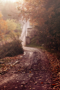 秋天的公园谷在雾, 浅自由度