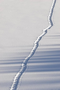 雪地轨道线